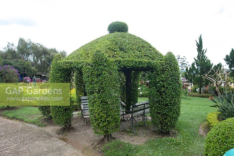 Da Lat Vietnam Botanical Gardens. Garden feature Topiary pavillion.