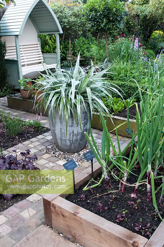 Kitchen garden with wooden raised beds planted with Beetroot Darko and Onion 'Red Cross'  and Astelia chathamica in tall pot on gravel and natural stone cobble sett angular path leading to wooden painted cottage arbour 