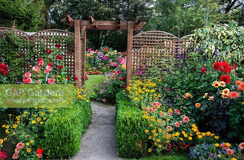 Borders of Dahlia flowers and bedding plants and a trellis arch