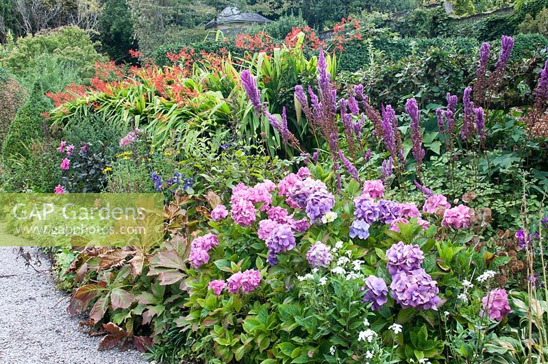 Herbaceous border in the Gardens of Ilnacullin - Garinish Island. Glengarriff, West Cork, Ireland. The Gardens are the result of the creative partnership of Annan Bryce and Harold Peto, architect and garden designer. August