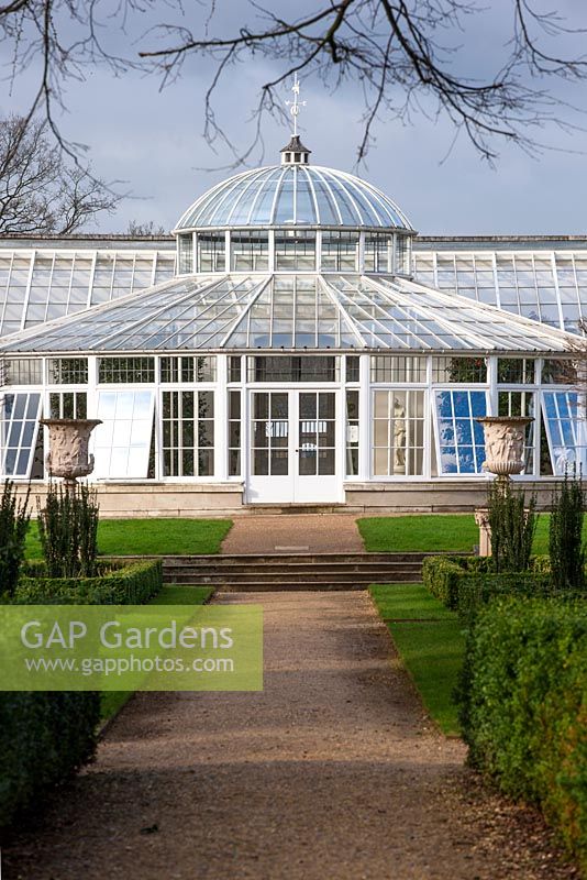Front of the conservatory in February.  Chiswick House Camelia Show, Glasshouse, London. 