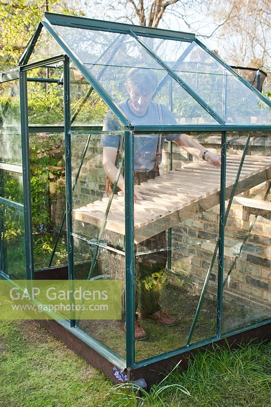 Man fitting slatted wooden  greenhouse shelf in place: April, Spring.
