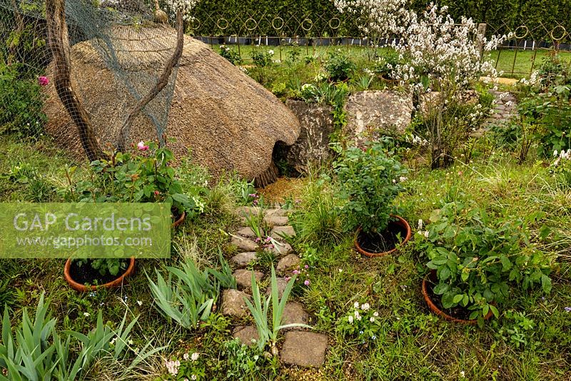 Gardening Amidst Ruins: A Homage to Capability Brown - View of sunken area and thatched roof structure - RHS Malvern Spring Show 2016. Designer: Todd Longstaffe-Gowan Landscape Design, Sponsors: Wyevale Garden Centres in partnership with Historic Royal Palaces