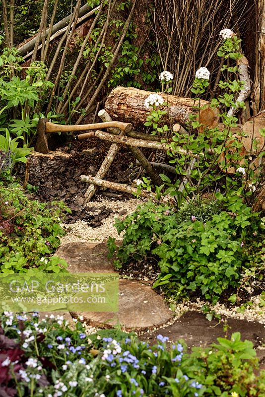 Rustic wooden saw horse with logs and axe, woodland planting - The Woodcutter's Garden - RHS Malvern Spring Show 2016. Designer: Mark Walker, Sponsor: Howards Motors