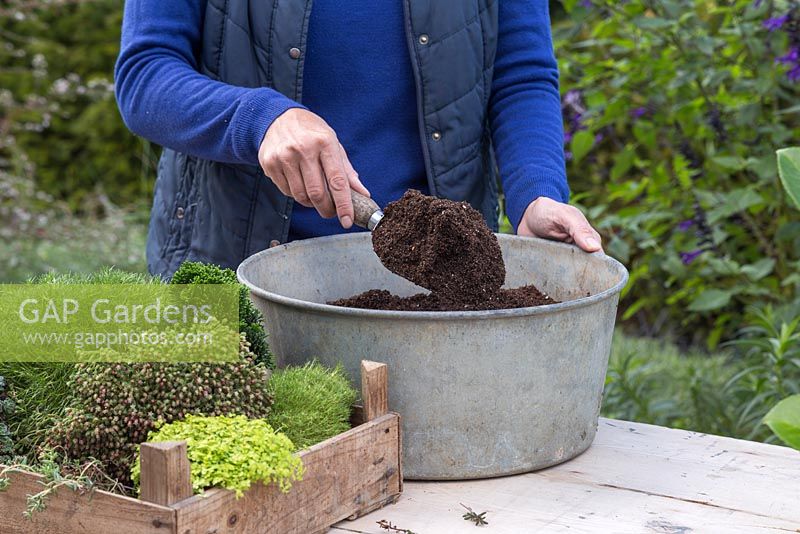 Fill the metal container with compost
