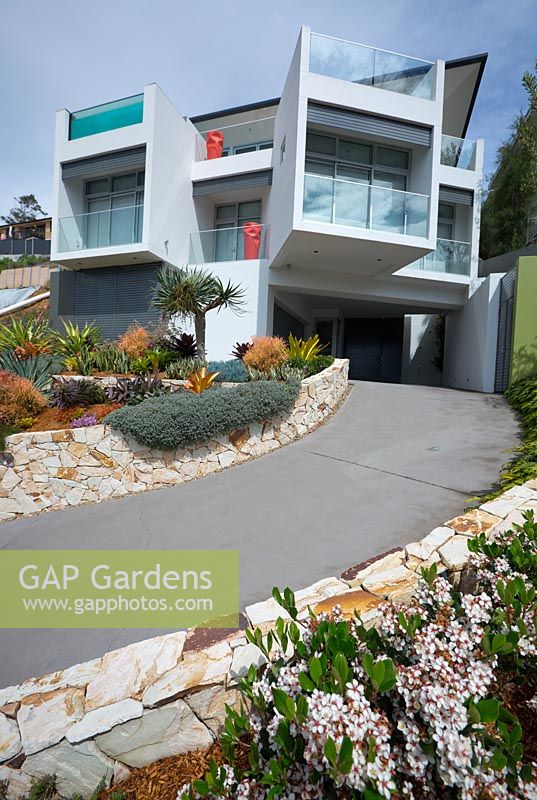 A modern glass and concrete house with an in-built swimming pool seen in an Australian beach-side suburb, featuring raised garden beds made from semi-dressed sandstone blocks with a colourful mixed planting of succulents and bromeliads. 