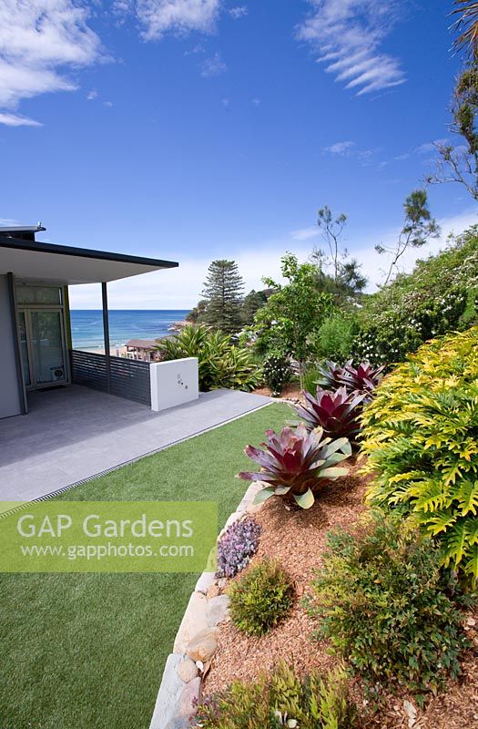 The back garden of a beach-side Australian house built on a steep site. Artificial lawn and a raised bed featuring Alcantareas and Philodendron 'Xanadu' is seen.