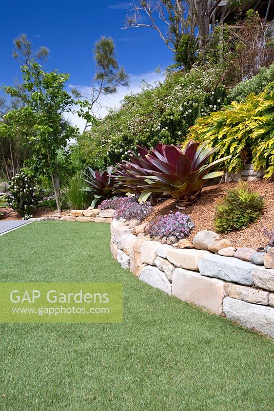 A raised garden bed made from semi-dressed sandstone blocks features large red alcantareas. Behind them Philodendron 'Xanadu' and in the front Kalanchoe pumila 'Quicksilver'. The lawn is artificial grass.