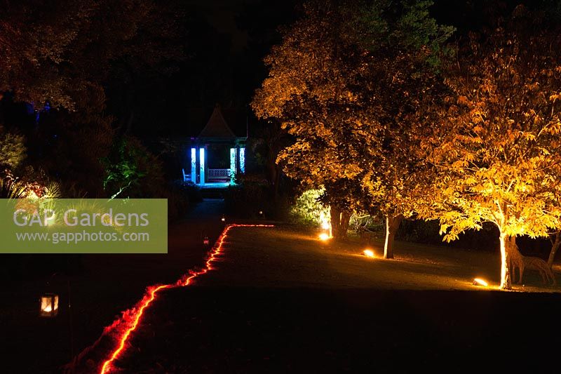 A rope of red light guides visitors through the illuminated garden with the Pavilion beyond