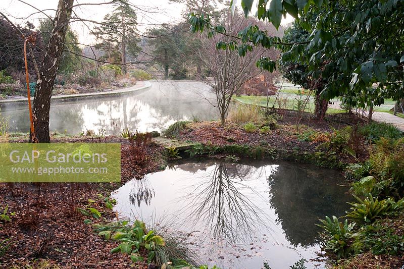 Mist rises from water in the Wells Garden at the Bishop's Palace in Well on a November morning
