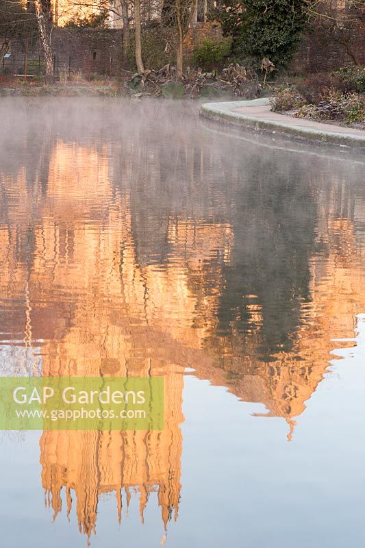 Reflection of Wells Cathedral in the Well Pool in the Bishop's Palace Garden on a November morning