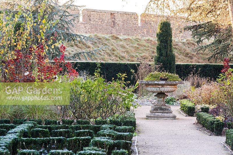 The East Garden at the Bishop's Palace, Wells featuring a knot garden of euonymus planted in the summer with varieties of the bishop series of dahlias