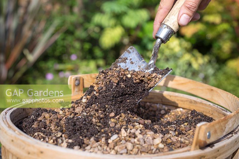 Combine grit and compost to create the potting mix