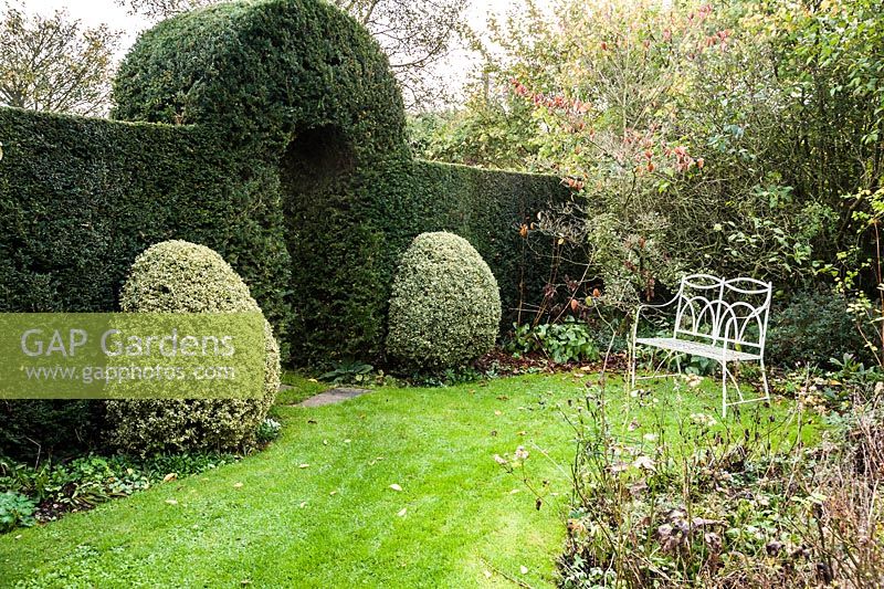 White metal bench beside yew arch framed each side by a clipped variegated box.