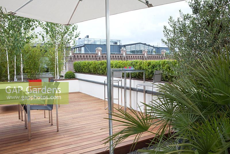 Roof garden terrace with view on the city. Rotterdam, Holland. Betula utilis 'doorenbos' in containers and outdoor furniture. 