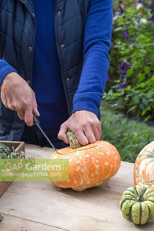 Use a sharp knife to remove the top of the Pumpkin