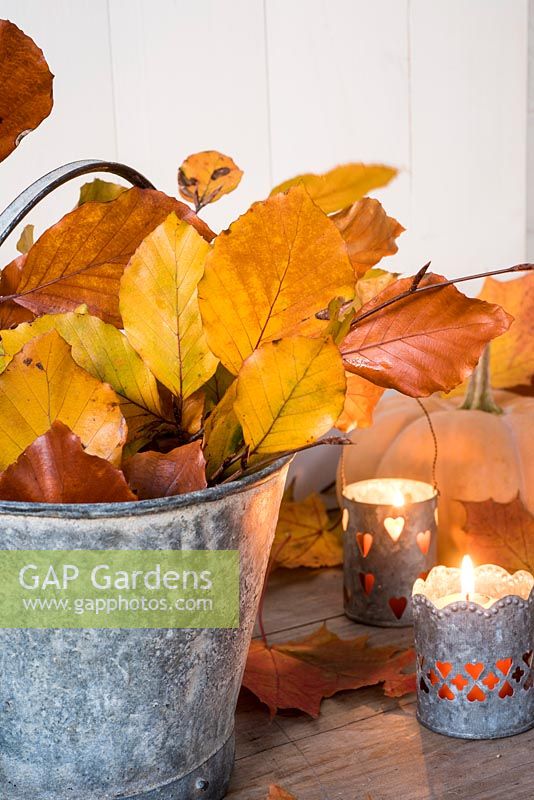 Autumn leaves - Copper Beech in metal bucket with tealights