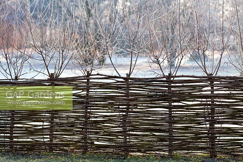 Woven willow fence in winter frost.