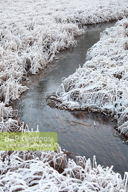 Curved stream in frost winter scenery.