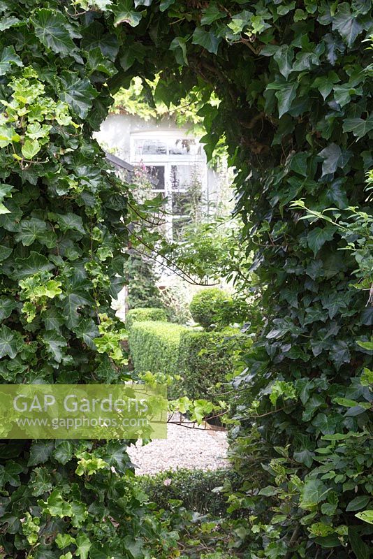 Glass mirror inset within thick Ivy foliage