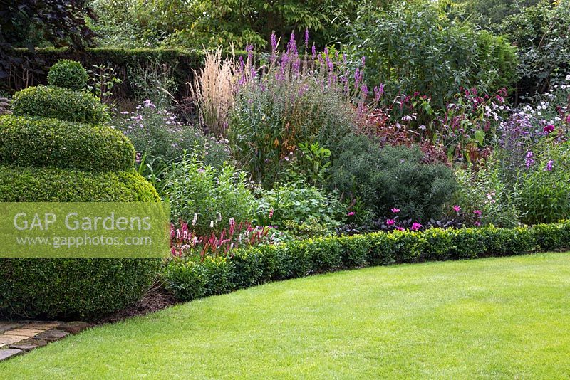 Mixed border with Buxus edging and Box topiary