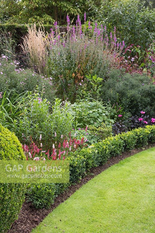 Mixed border with Buxus sempervirens edging