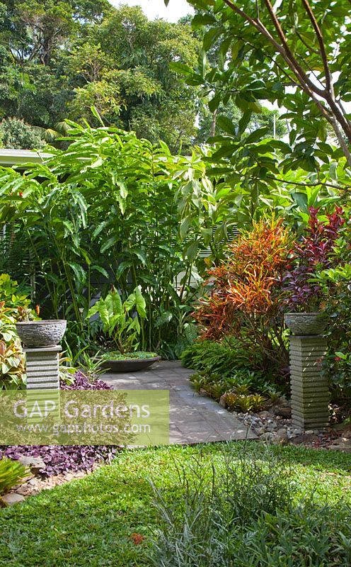 Entrance from lawn to paved area flanked by two pebble pots atop two ribbed concrete plinths, with colourful Codiaeum variegatum, croton, purple leaved Hemigraphis colorata, a water bowl and a stand of tall Costus gingers.