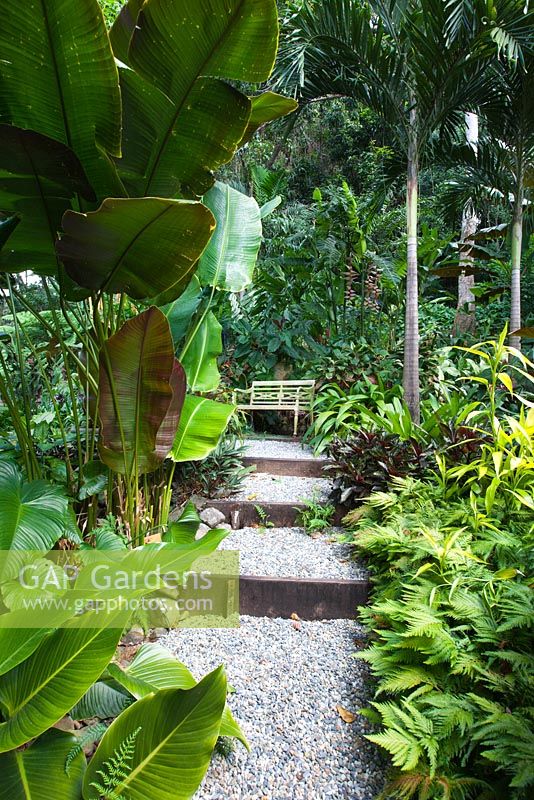 A stepped gravel path with timber risers leading to a garden bench flanked by a thickly planted lush garden.