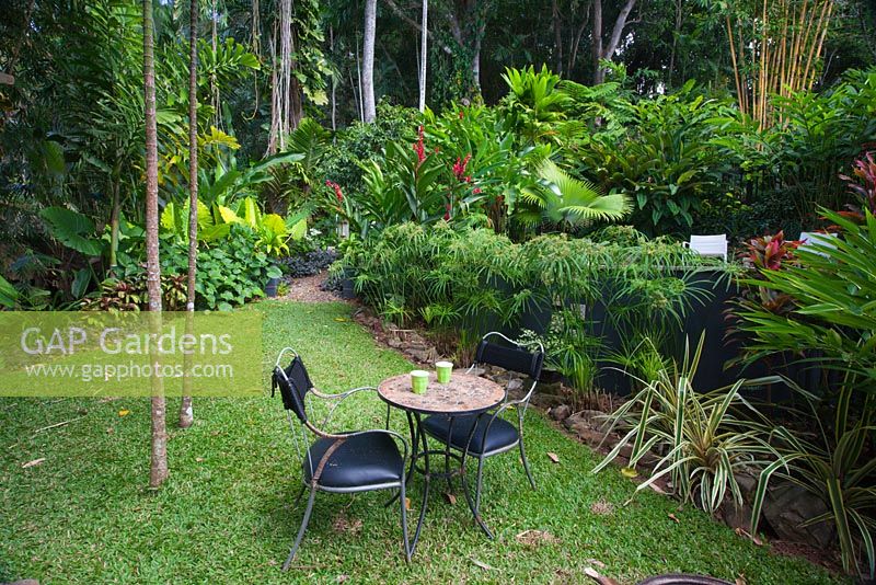 A small table and chairs seen on a patch of lawn in a tropical Australian garden. 