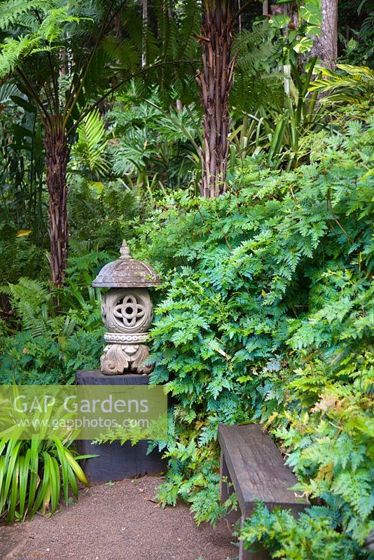 A Balinese carved stone lantern sits on a large black timber plinth next to a simple timber bench at the end of a pea gravel path surrounded by a thick planting of ferns and other shade loving plants.