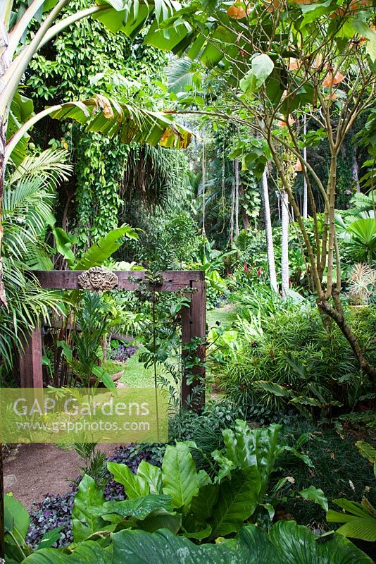Freestanding timber garden arch with a Balinese carved stone mask hung in the middle of the arch, surrounded by a lush planting of tropical plants.