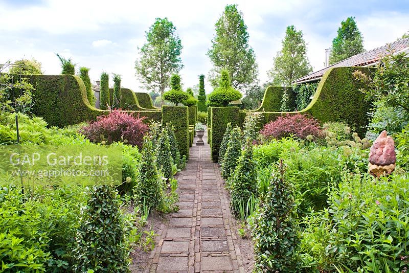 Formal garden with perennial borders, topiary and hedging. Frank Thuyls garden.
