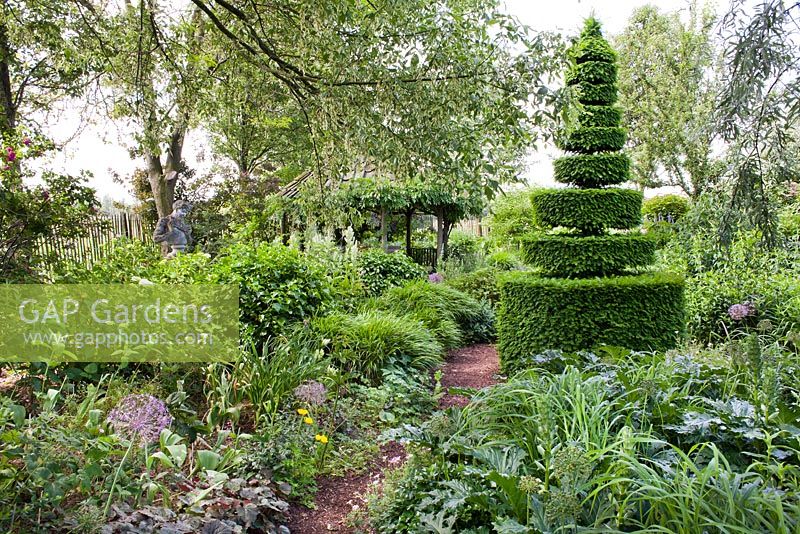Summer borders with a yew topiary. Frank Thuyls garden.
