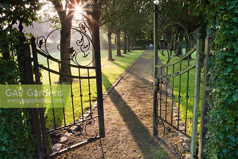Entrance to the garden with open wrought iron gate. Ornamental cherry trees avenue. Yvan and Gert garden in Belgium.