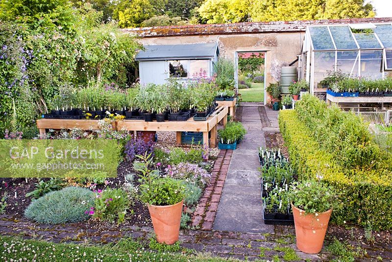 Small nursery with plants ready for sale on a NGS open days