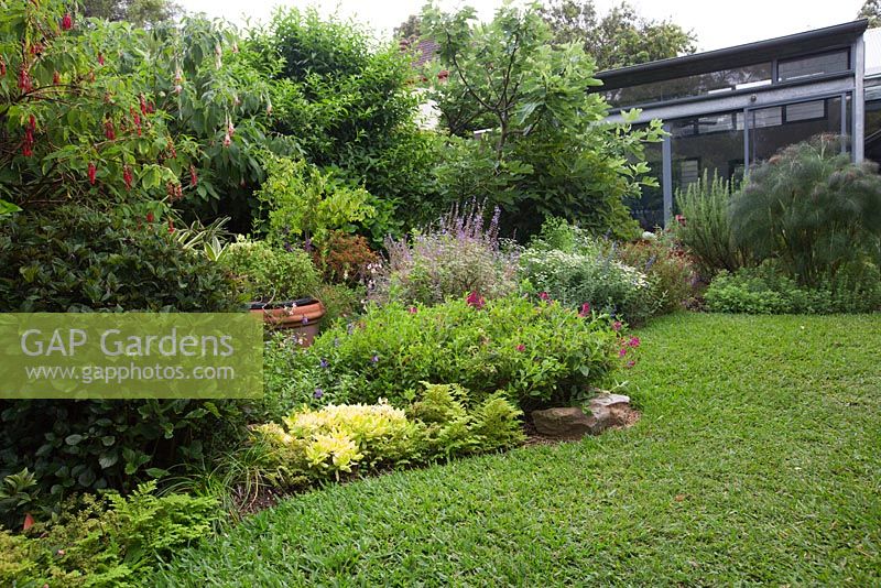 View looking from the back of garden towards rear of house, showing curved garden beds, a soft leaf buffalo lawn and a variety of flowering and colourful herbaceous plants