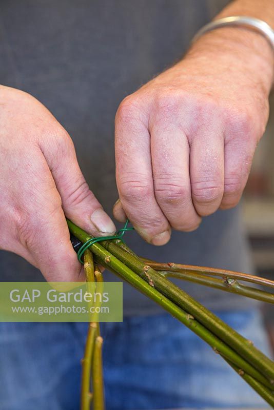 Use floral wire to tie the Willow stems together