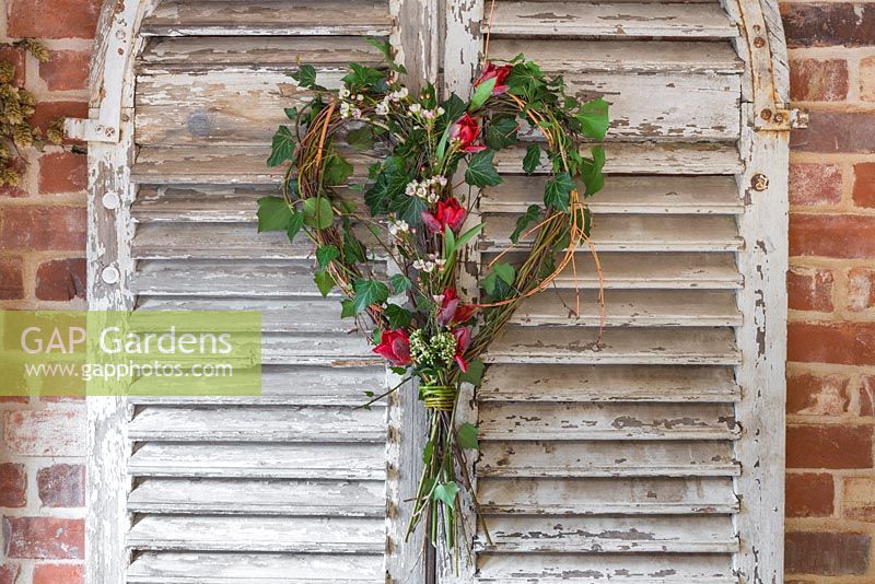 A rustic Valentine's wreath made with Hedera helix, Willow stems, Birch twigs, Cornus sanguinea 'Midwinter Fire', Tulip 'Rococo', Viburnum tinus and Chamelaucium