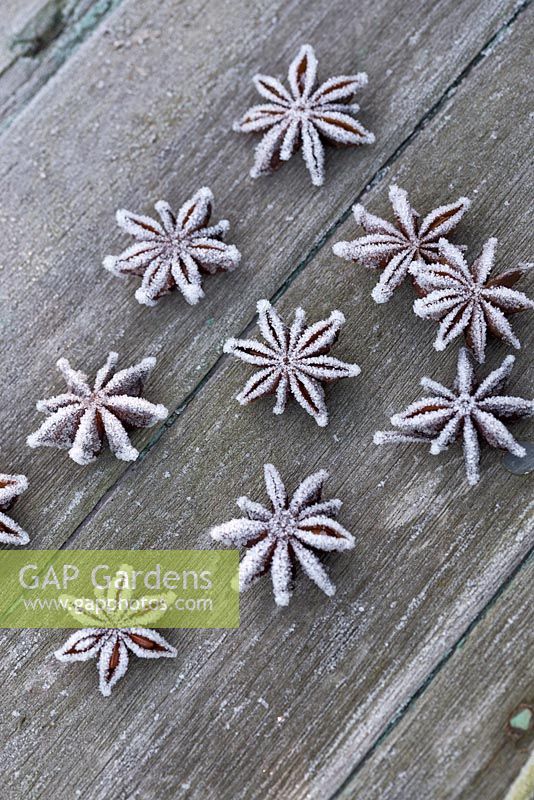 Frosted Star anise seeds on wooden surface