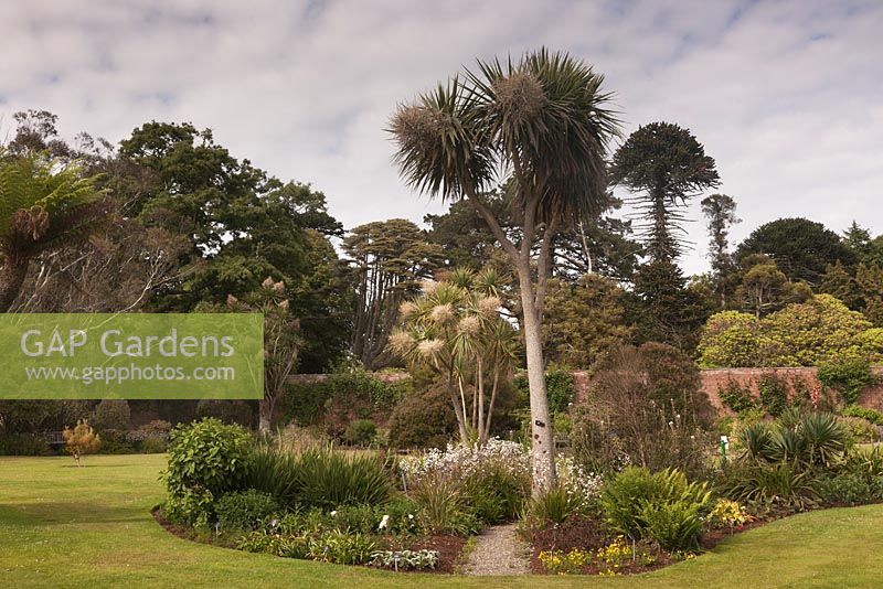 An island bed focussing on southern hemisphere exotics - July, Logan Botanic Garden, Dumfries and Galloway, Scotland
