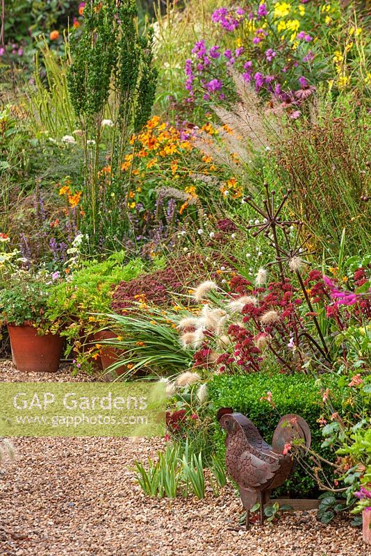 Gravel path, metal chicken ornament, sedum pennisetum, Helenium Sarins - informal country garden.  Owner of Daisy Roots Nursery, Anne Godfrey's own private garden, Hertfordshire, late summer