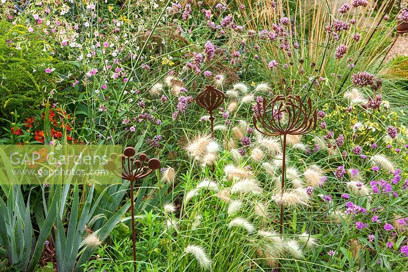Rusty metal Allium shaped sculptures in mixed border.  Pennisetum Villosum, Verbena Bonariensis and Stipa Gigantea.  Late summer in owner of Daisy Roots Nursery's own private garden.  Anne Godfrey's garden in Hertfordshire. 