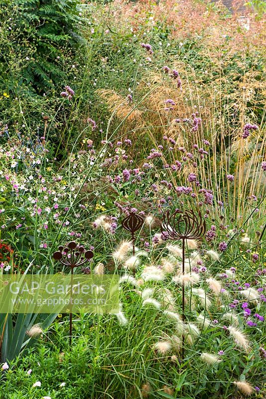 Rusty Allium shaped sculptures in mixed border, late summer.  Anne Godfrey's private garden - owner of Daisy Roots Nursery.  Planting includes Pennisetum villosum, verbena bonariensis and stipa gigantea. 