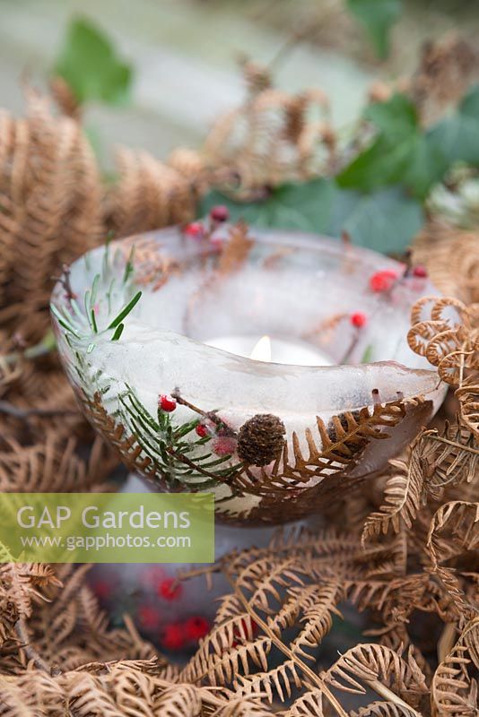 A frozen candle bowl with a lit tealight. Constructed from Fern foliage, Pine foliage and berries of Ilex verticillata