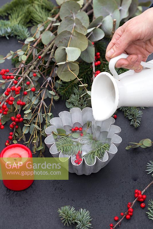 Place the Pine foliage, Eucalyptus and Ilex verticillata berries in the jelly mould and add water