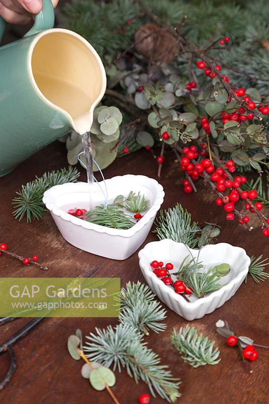 Place the Pine foliage, Eucalyptus and Ilex verticillata berries in the heart moulds and add water