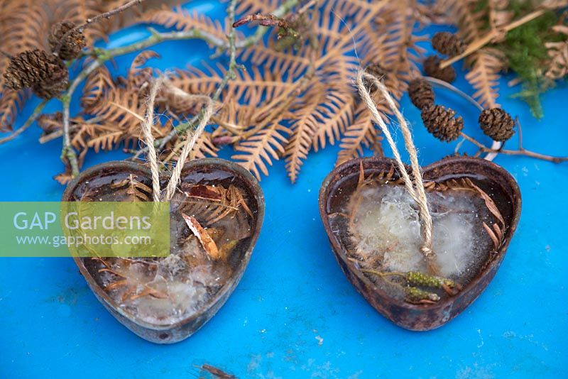 Frozen metal heart moulds containing Larch cones and Fern foliage