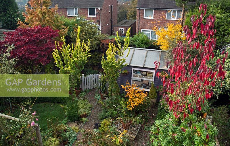 Small back garden with a variety of small trees grown for thier autumn colour at High Meadow Gardens Staffordshire England 