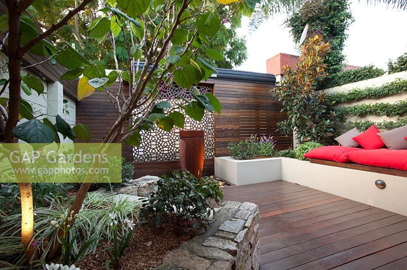 Inner city courtyard with raised beds including a Cercis tree, awater feature sits in front of a rusty decorative screen and colourful bench seating