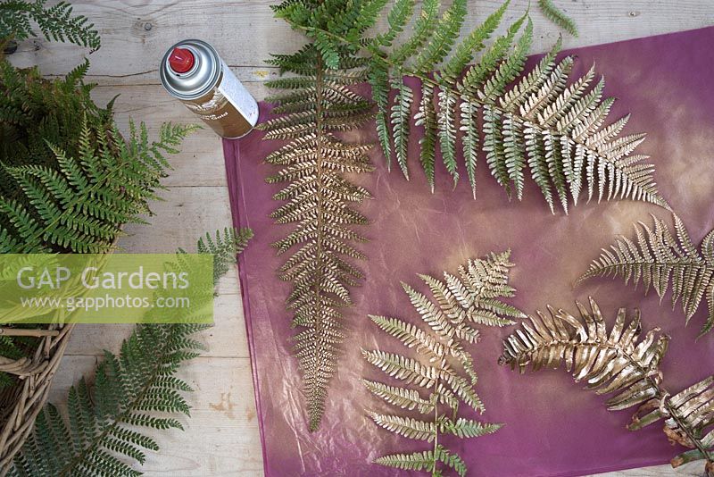Use gold spray paint to colour the ferns gold and leave a pattern on the wrapping paper